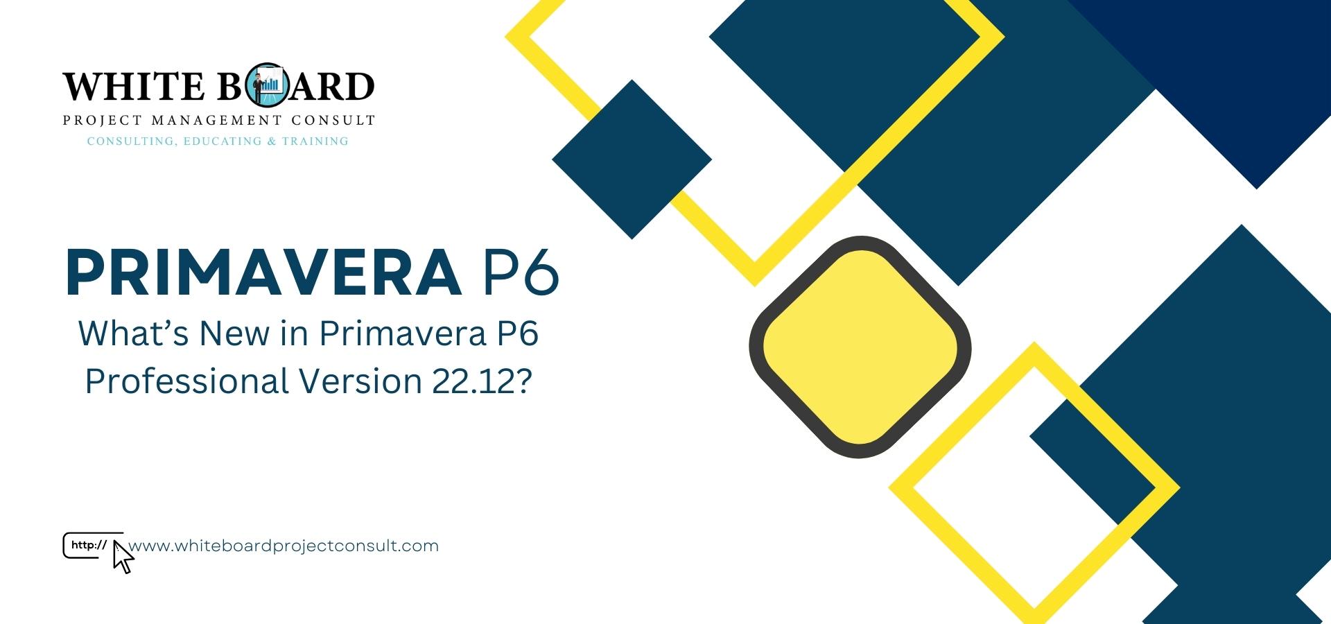 What’s New in Primavera P6 Professional Version 22.12?